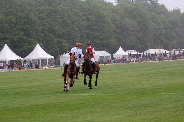 Polo_Art   128.jpg